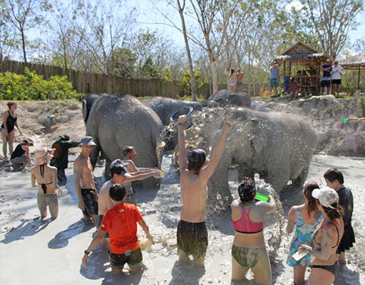 QHHT Retreat Thailand 2024