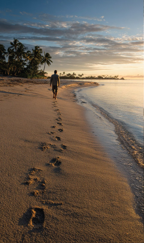 IMMERSE EMOTIONAL ENVIRONMENT