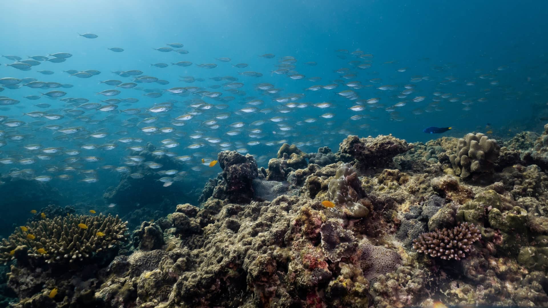 Sightseeing and Cultural Programs